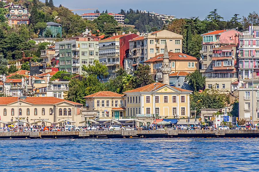 Arnavutköy Böcek İlaçlama