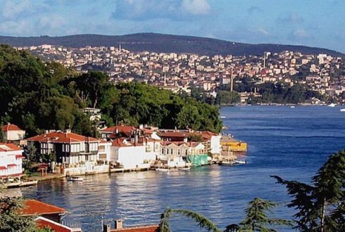 Beykoz Böcek İlaçlama